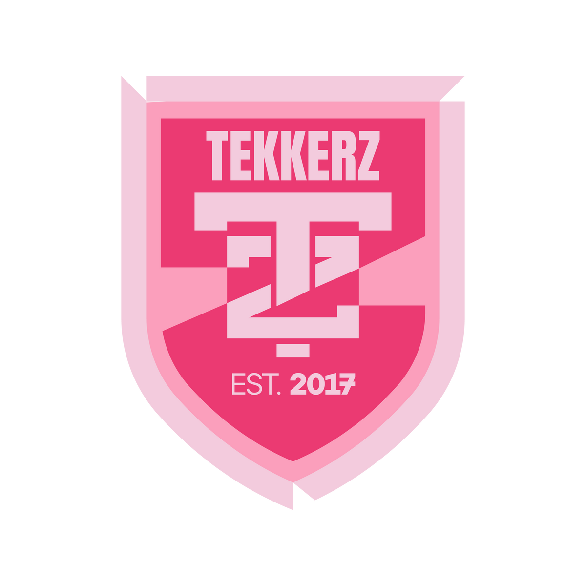 TEKKERZ Car Magnet